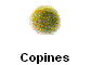 Copines